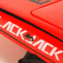 Load image into Gallery viewer, Blackjack 24&quot; Catamaran Brushless: RTR
