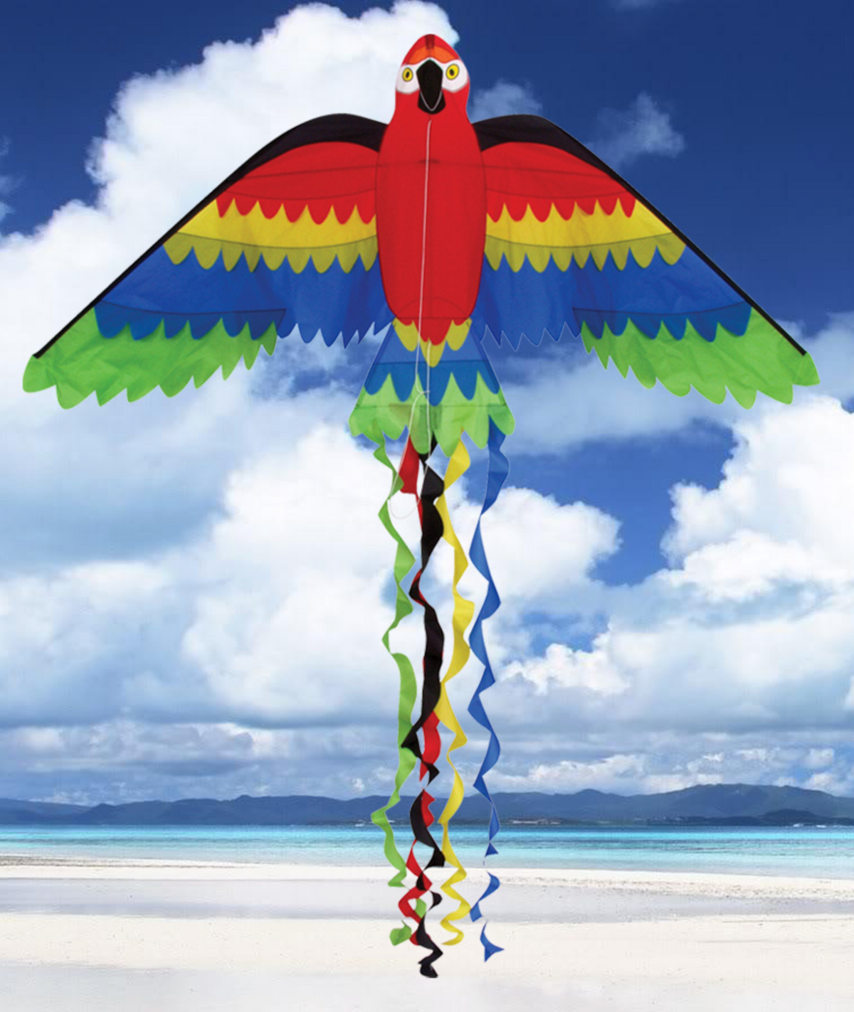 Skydog Kites 66" Rainbow Parrot (10032)